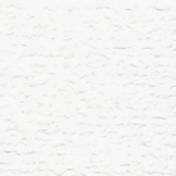 Bazzill Orange Peel CS " White /OP "